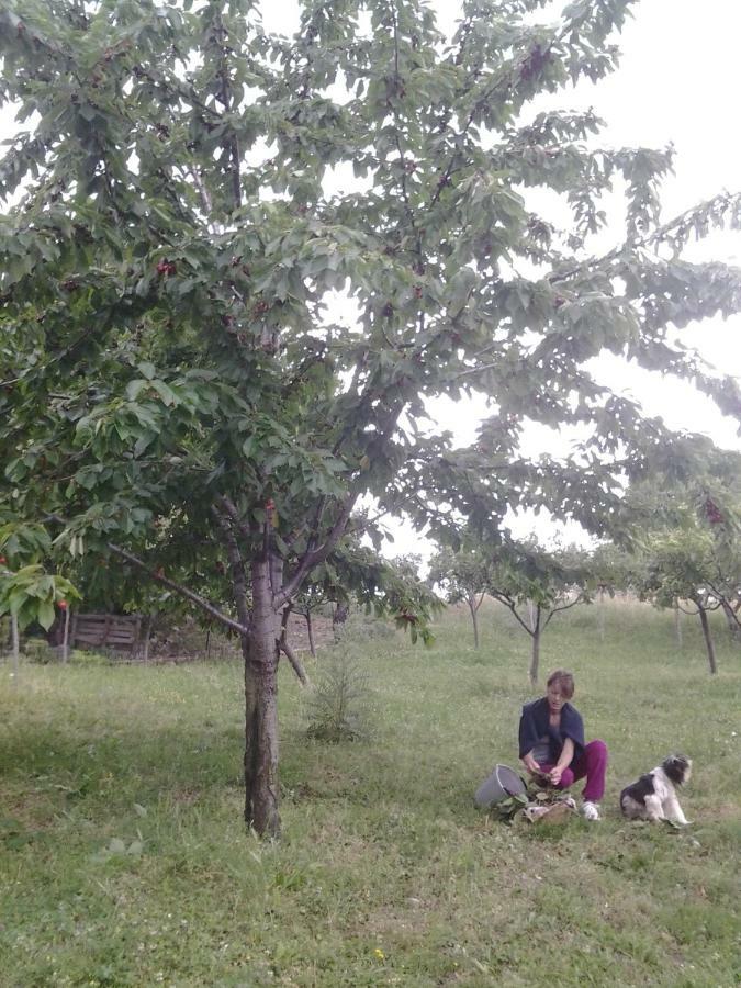 Agriturismo Persichitti Torricella Peligna 外观 照片